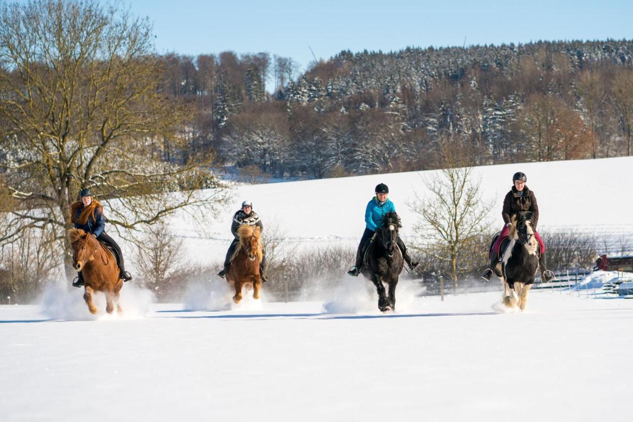 Ferienhof Homann Sauerland Brilon Ngoại thất bức ảnh