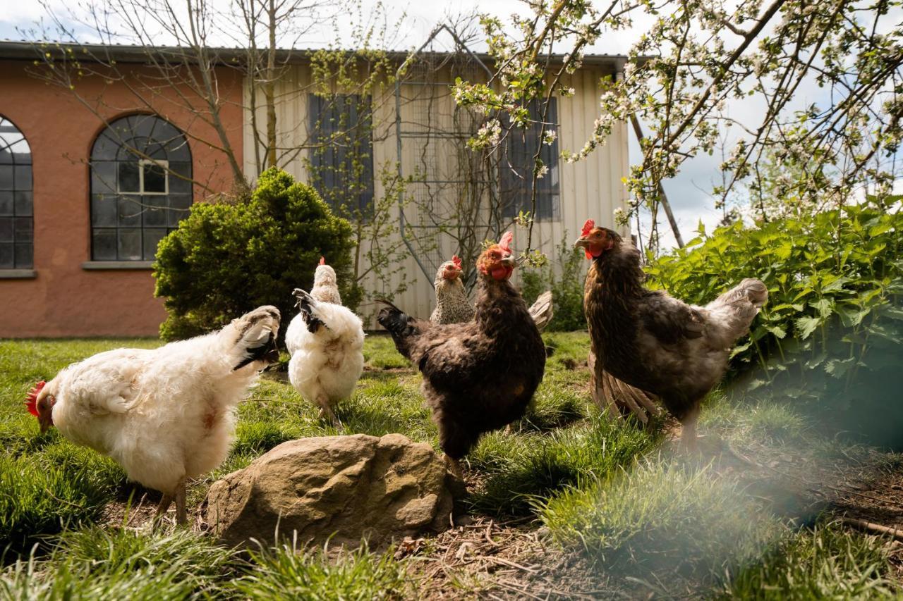 Ferienhof Homann Sauerland Brilon Ngoại thất bức ảnh