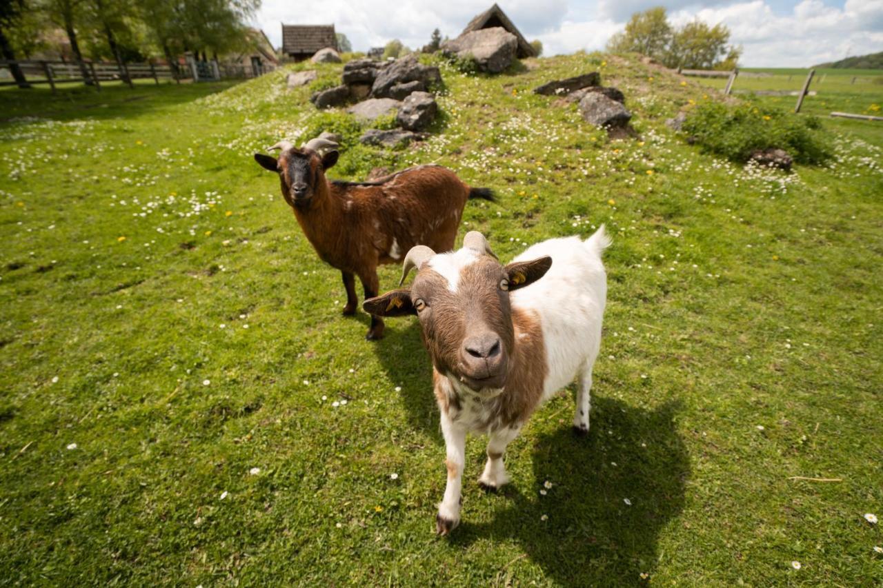Ferienhof Homann Sauerland Brilon Ngoại thất bức ảnh